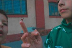 Kix, A Story of a Street Kid by Balint Revesz, David Mikul&aacute;n