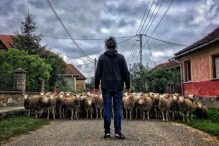 Larry by Szilárd Bernáth, photo: LarryFilm Facebook