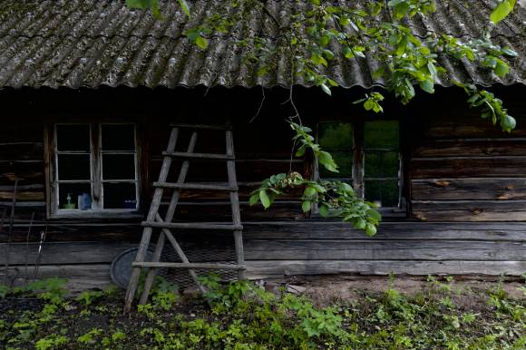 Sauna Day by Anna Hints, credit: Stellar Film